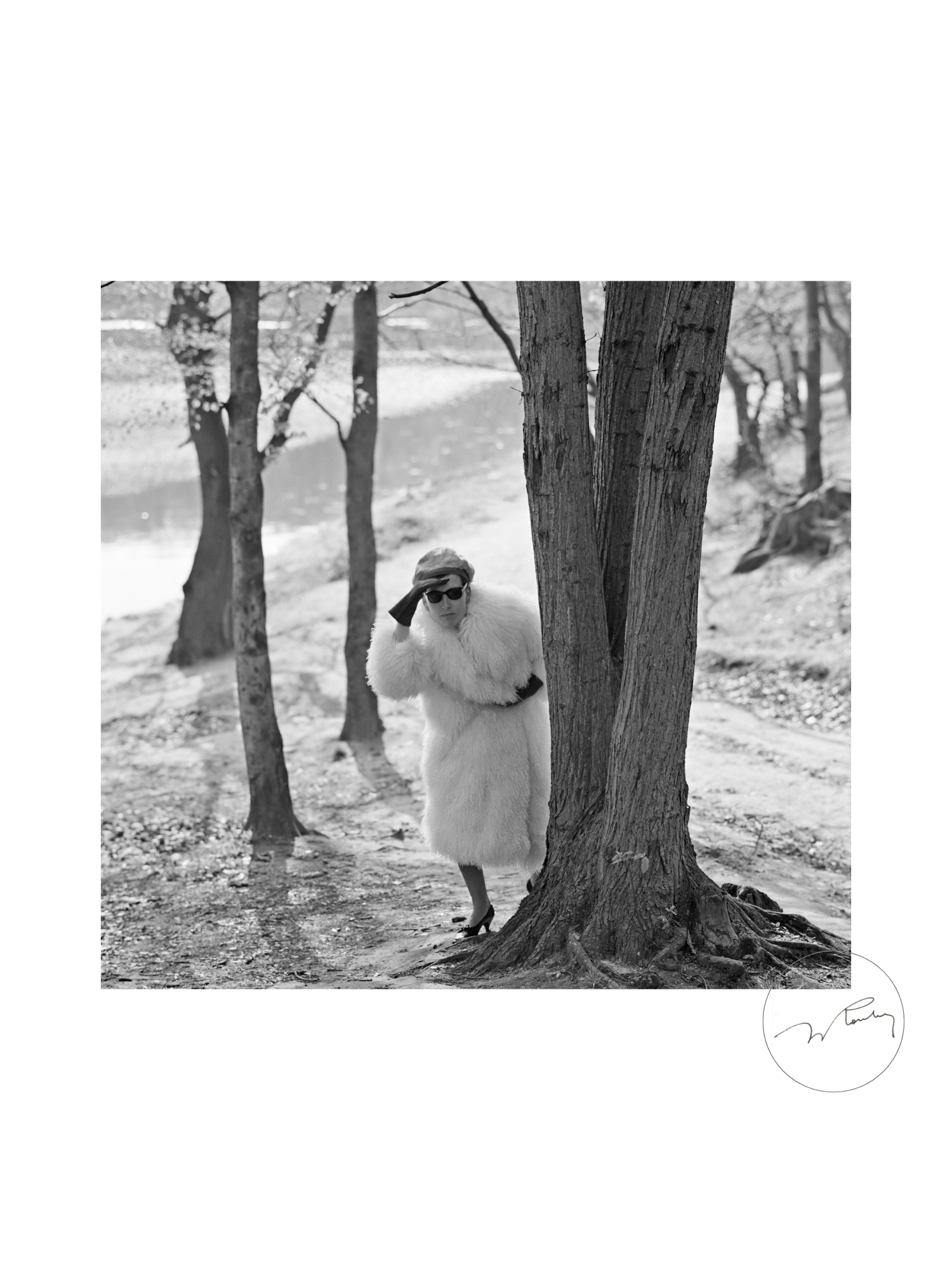 "Apparition élégante" - Jacques Rouchon