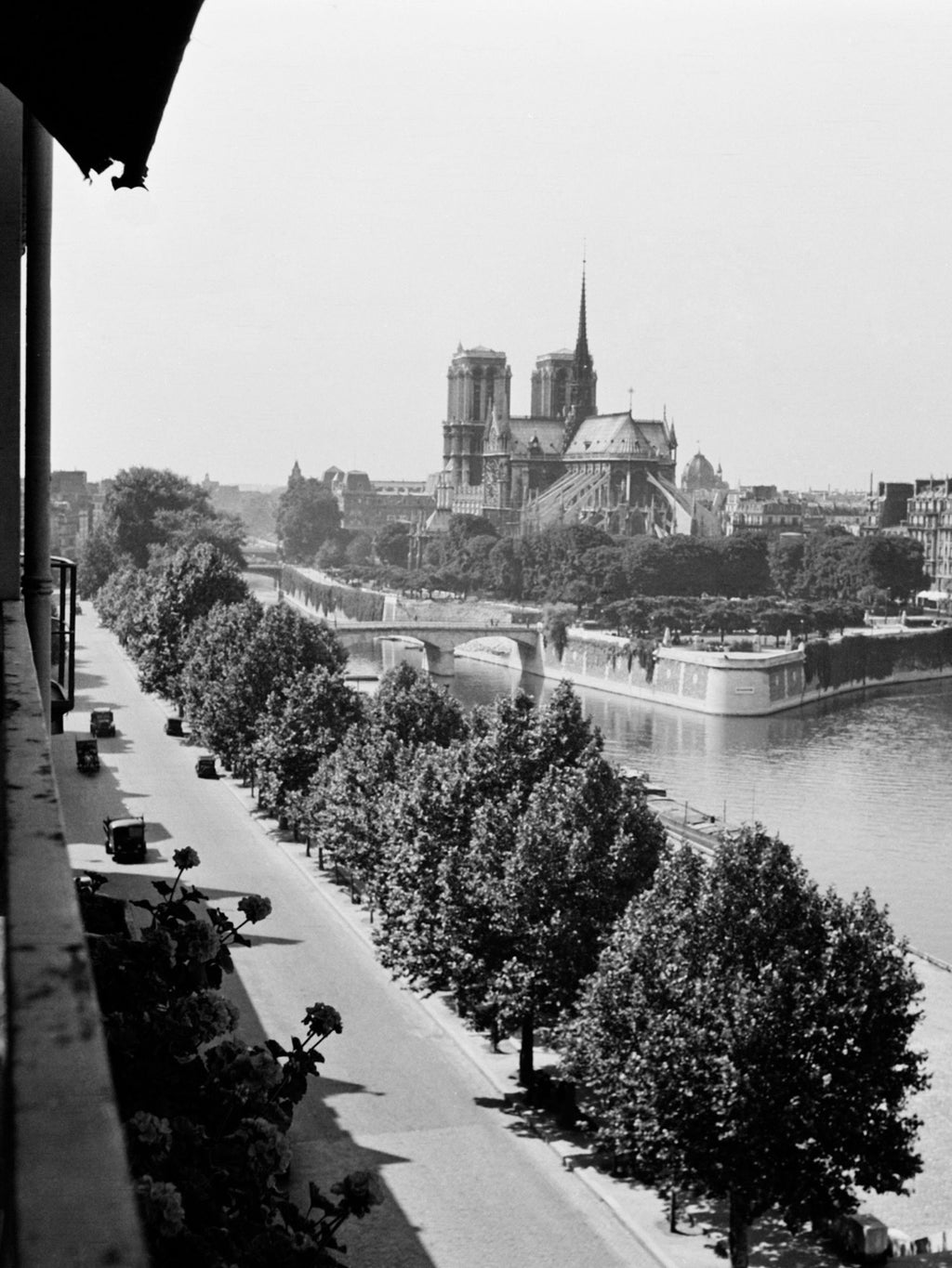 "Notre Dame de Paris" - Jacques Rouchon