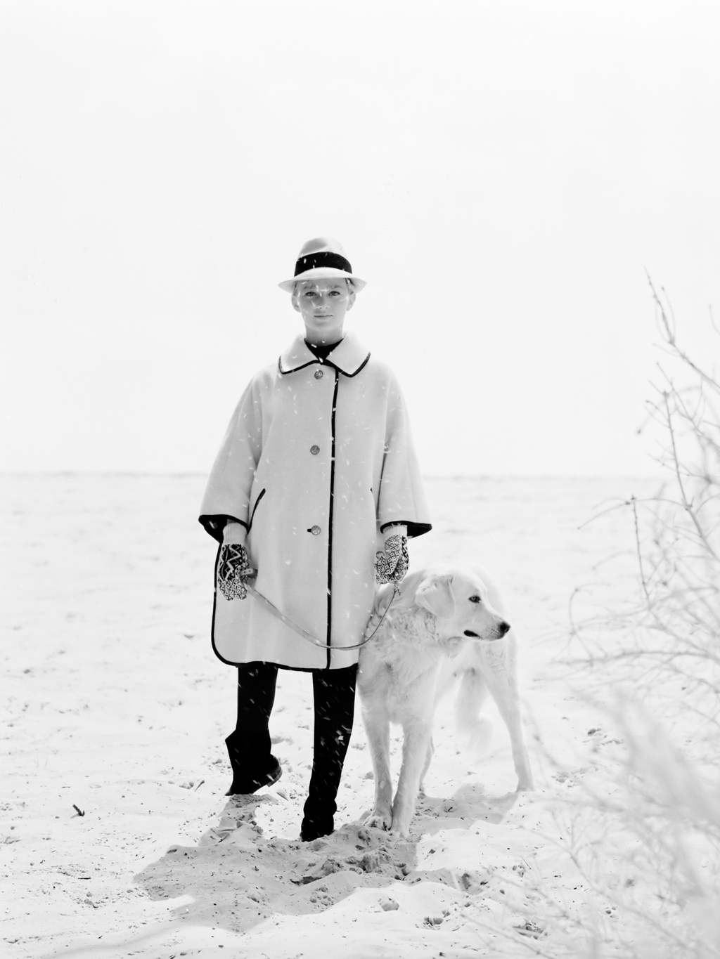 "Patte blanche" - Louis-René Astre