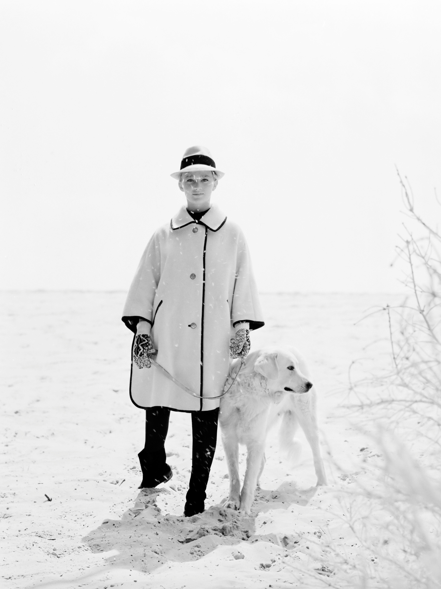 "Patte blanche" - Louis-René Astre