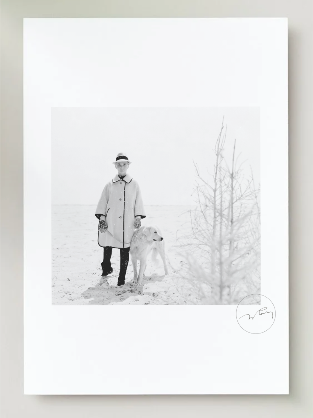 "Patte blanche" - Louis-René Astre