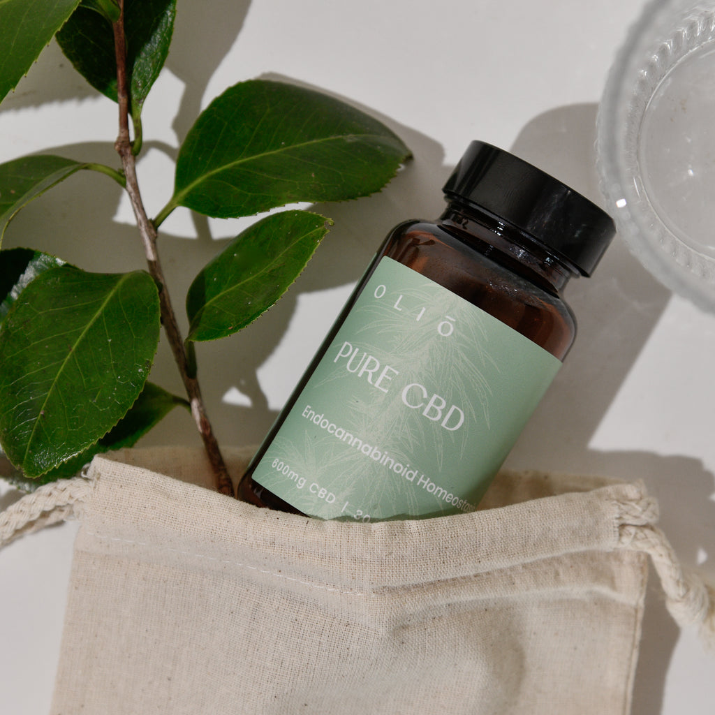 "René Gruau dans son atelier" - Jacques Rouchon