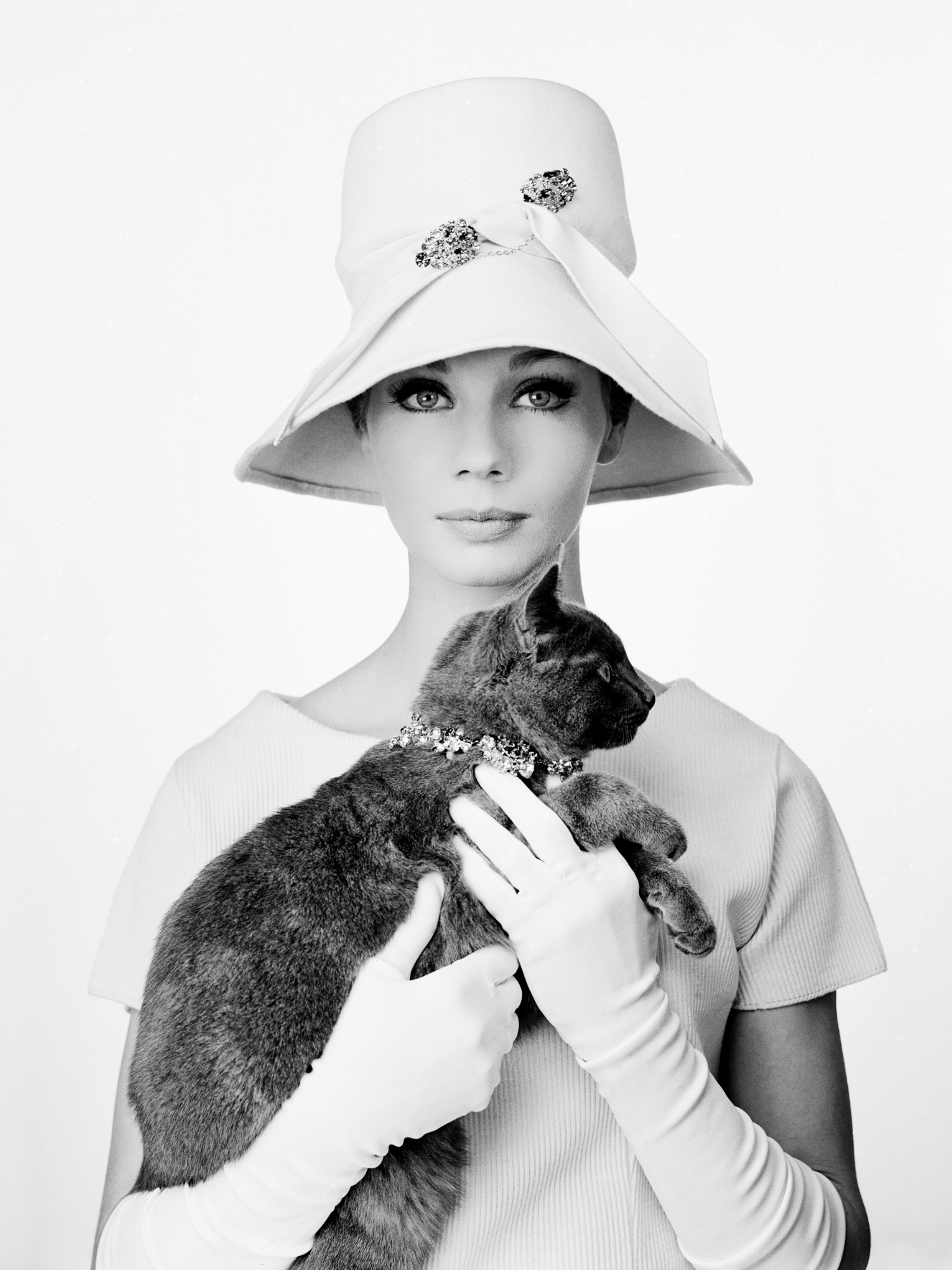 "Chat pi chapeau" - Jacques Rouchon