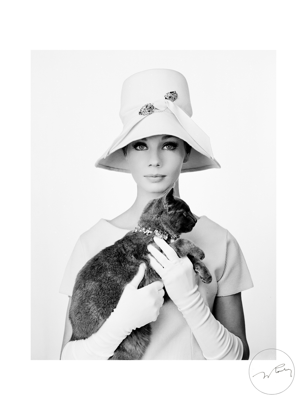 "Chat pi chapeau" - Jacques Rouchon