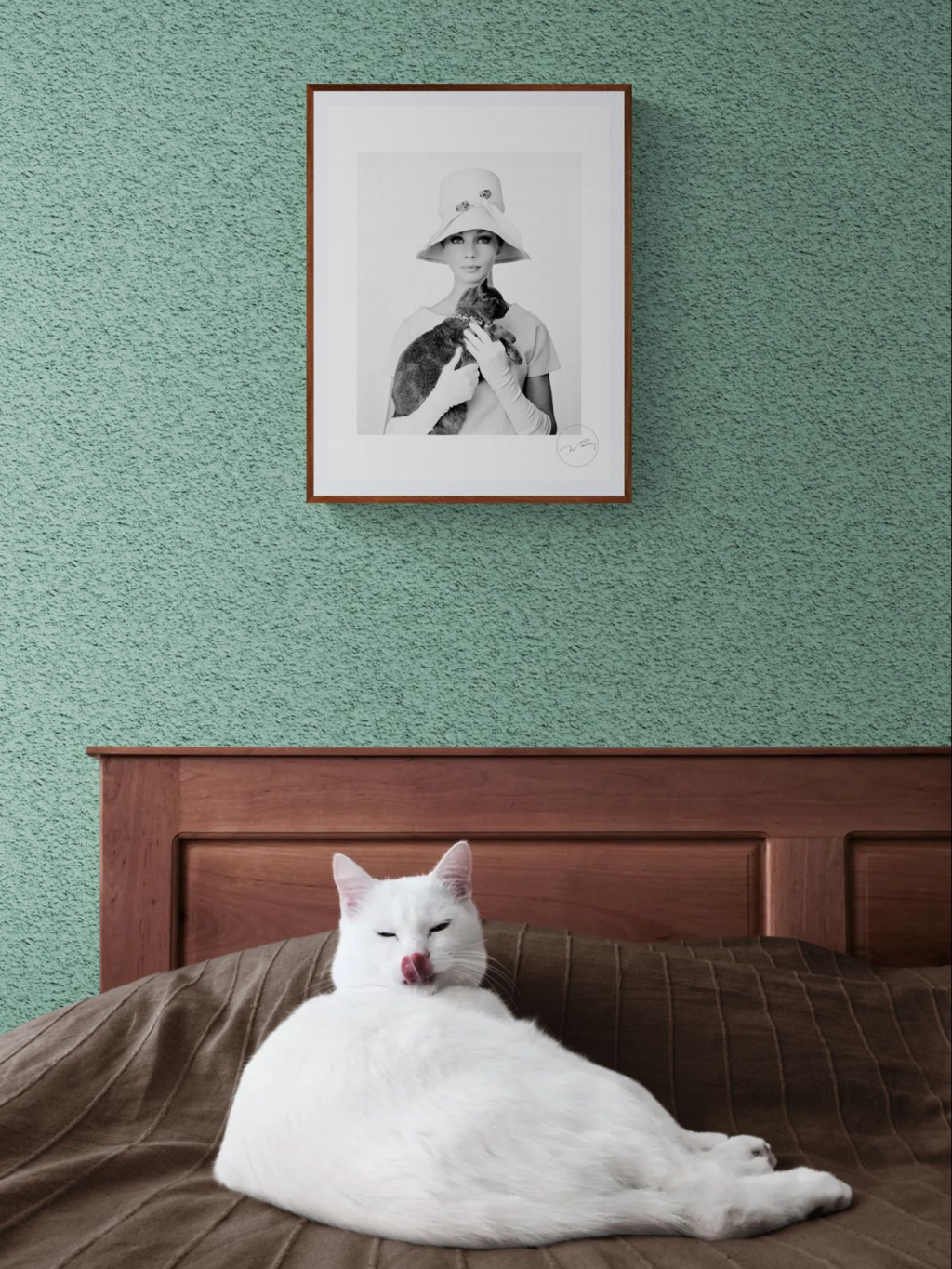 "Chat pi chapeau" - Jacques Rouchon