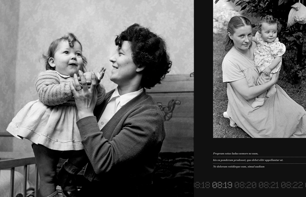 Le livre : Revoir Paris